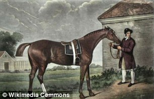 Modern racehorses are virtually all descended from a legendary British stallion called Eclipse (artist's impression pictured)